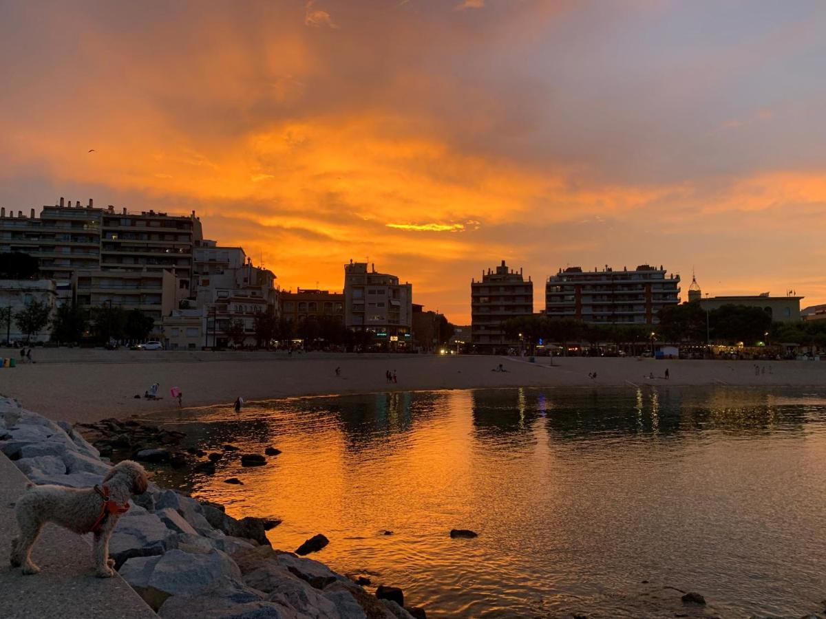 Notaria-Apartamento Y Estudio En Casco Antiguo, Al Lado De Playa, Rambla Y Monasterio, Con Acceso A Terraza Ajardinada Sant Feliu de Guíxols Exteriör bild